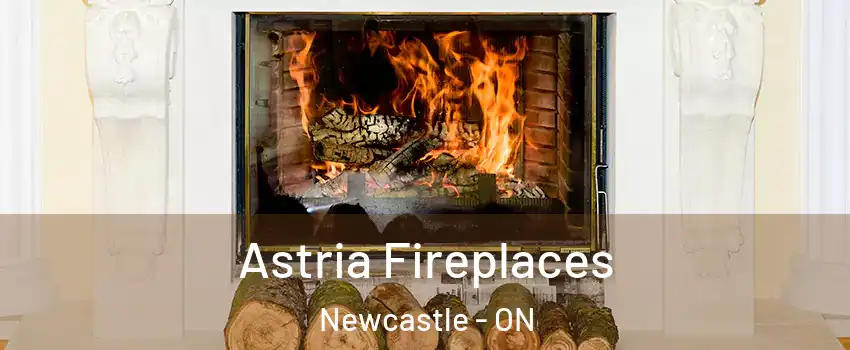  Astria Fireplaces Newcastle - ON