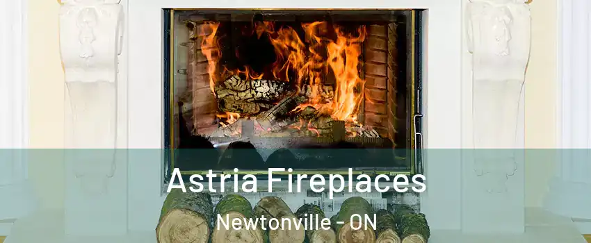  Astria Fireplaces Newtonville - ON