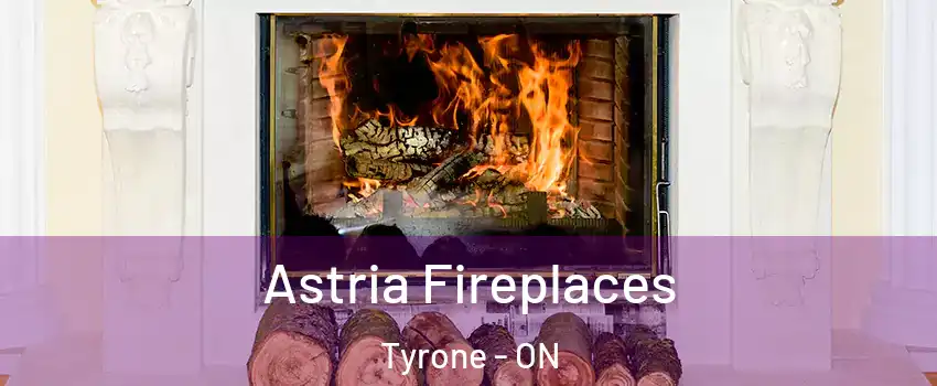  Astria Fireplaces Tyrone - ON
