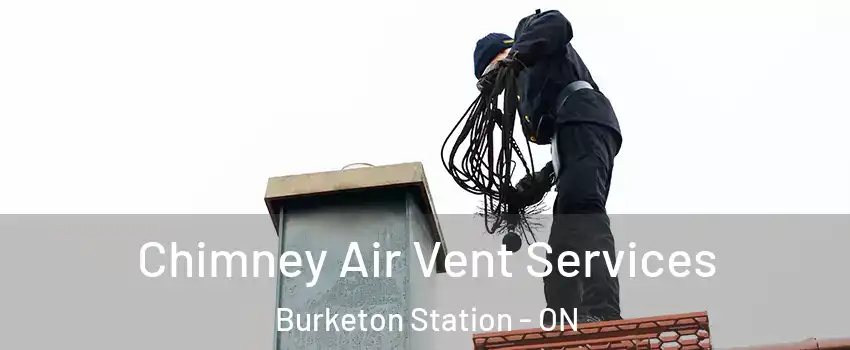  Chimney Air Vent Services Burketon Station - ON