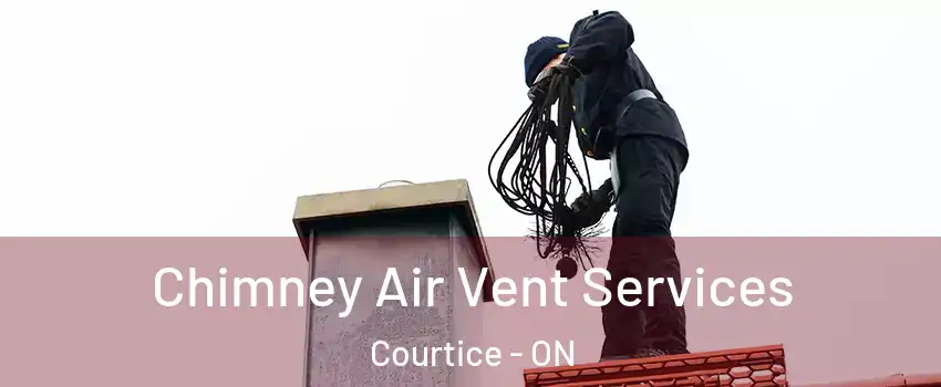  Chimney Air Vent Services Courtice - ON