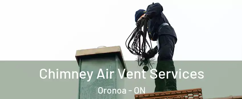  Chimney Air Vent Services Oronoa - ON