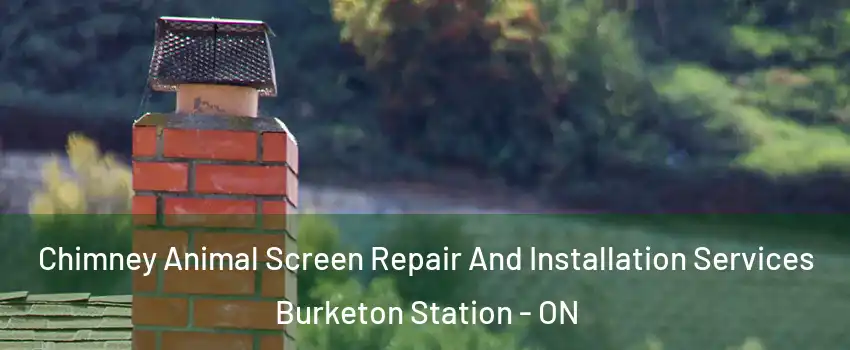  Chimney Animal Screen Repair And Installation Services Burketon Station - ON
