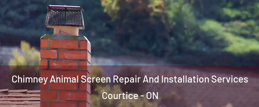  Chimney Animal Screen Repair And Installation Services Courtice - ON