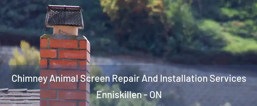  Chimney Animal Screen Repair And Installation Services Enniskillen - ON