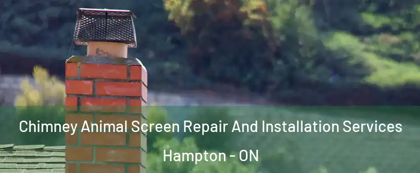  Chimney Animal Screen Repair And Installation Services Hampton - ON