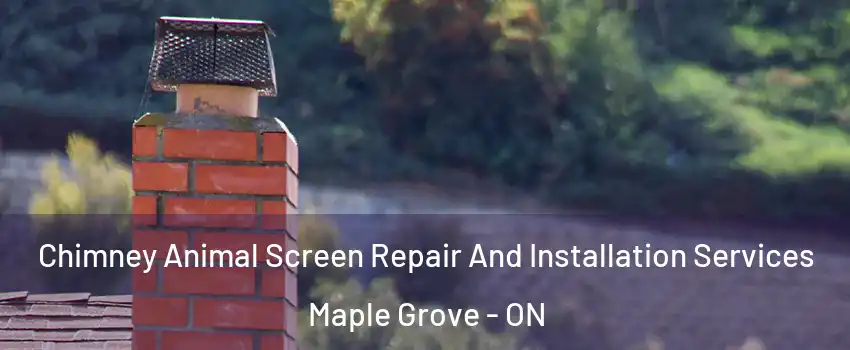  Chimney Animal Screen Repair And Installation Services Maple Grove - ON