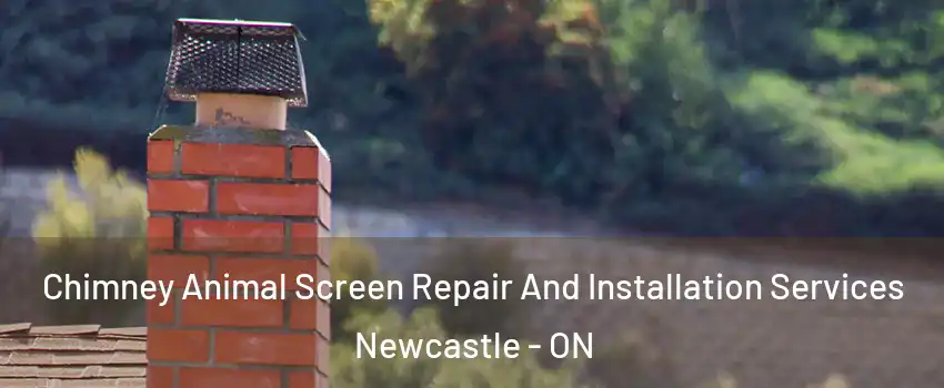  Chimney Animal Screen Repair And Installation Services Newcastle - ON