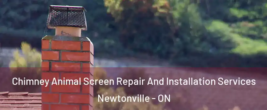  Chimney Animal Screen Repair And Installation Services Newtonville - ON