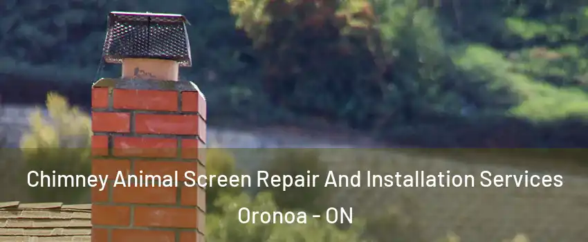  Chimney Animal Screen Repair And Installation Services Oronoa - ON