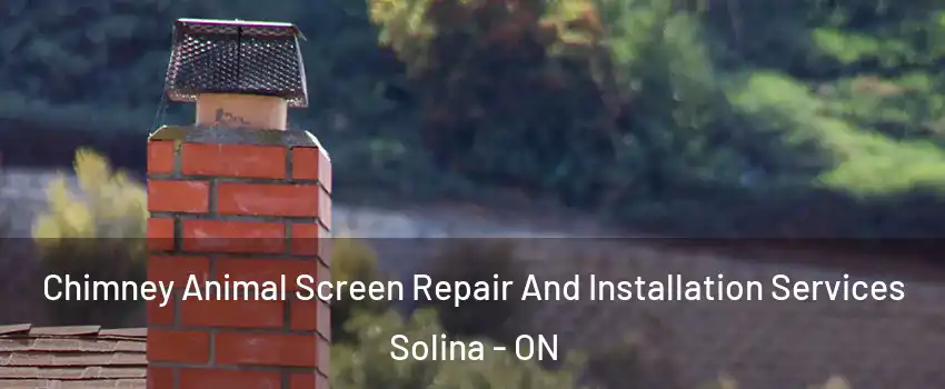  Chimney Animal Screen Repair And Installation Services Solina - ON