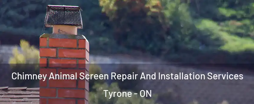  Chimney Animal Screen Repair And Installation Services Tyrone - ON