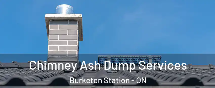  Chimney Ash Dump Services Burketon Station - ON
