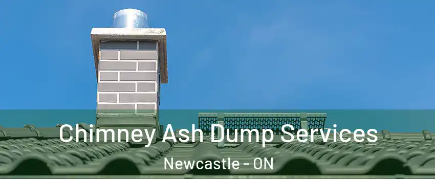  Chimney Ash Dump Services Newcastle - ON