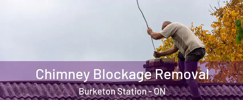  Chimney Blockage Removal Burketon Station - ON