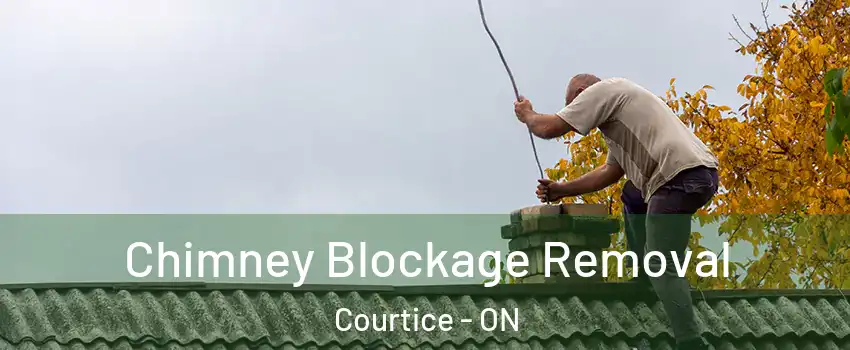  Chimney Blockage Removal Courtice - ON