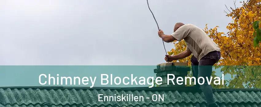  Chimney Blockage Removal Enniskillen - ON