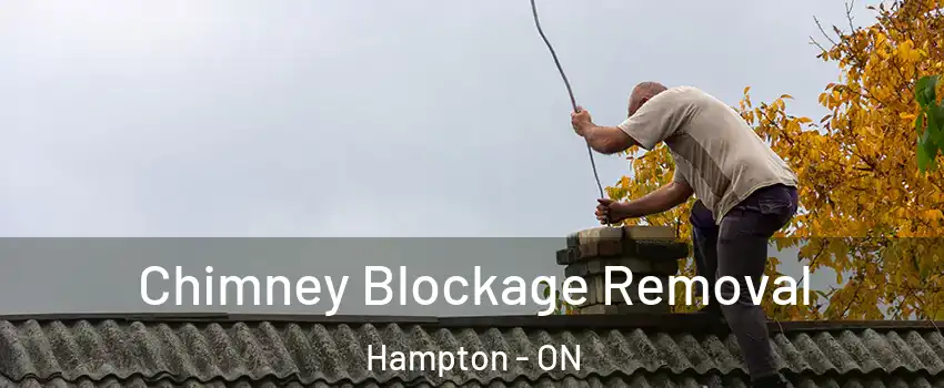  Chimney Blockage Removal Hampton - ON