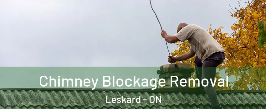  Chimney Blockage Removal Leskard - ON