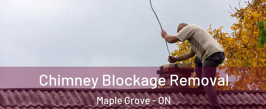  Chimney Blockage Removal Maple Grove - ON
