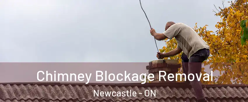  Chimney Blockage Removal Newcastle - ON