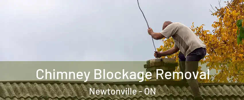  Chimney Blockage Removal Newtonville - ON
