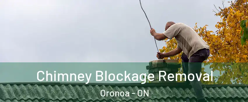  Chimney Blockage Removal Oronoa - ON