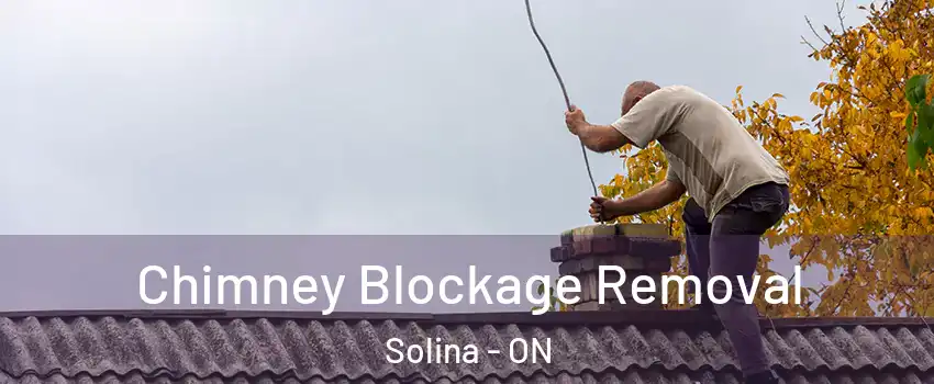  Chimney Blockage Removal Solina - ON