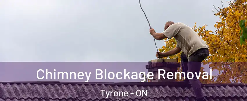  Chimney Blockage Removal Tyrone - ON