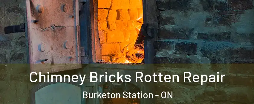 Chimney Bricks Rotten Repair Burketon Station - ON