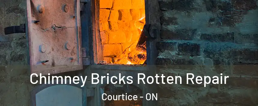  Chimney Bricks Rotten Repair Courtice - ON