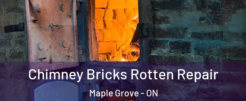  Chimney Bricks Rotten Repair Maple Grove - ON