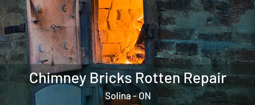  Chimney Bricks Rotten Repair Solina - ON