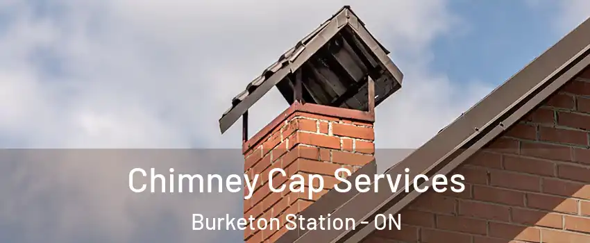  Chimney Cap Services Burketon Station - ON