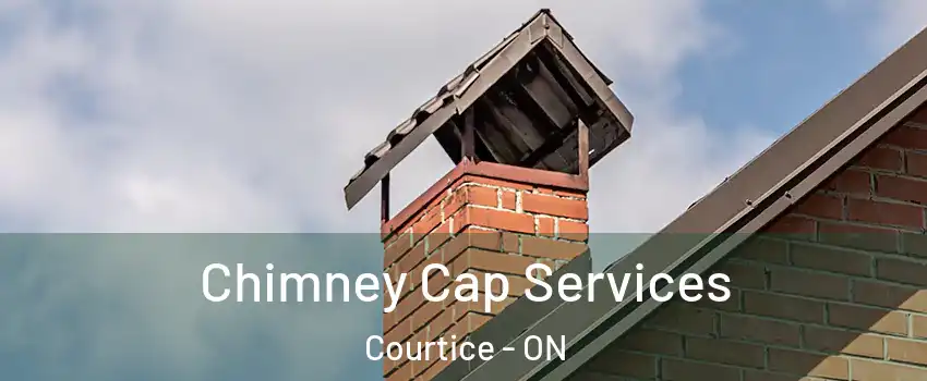  Chimney Cap Services Courtice - ON