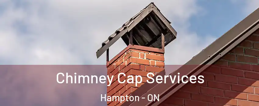  Chimney Cap Services Hampton - ON