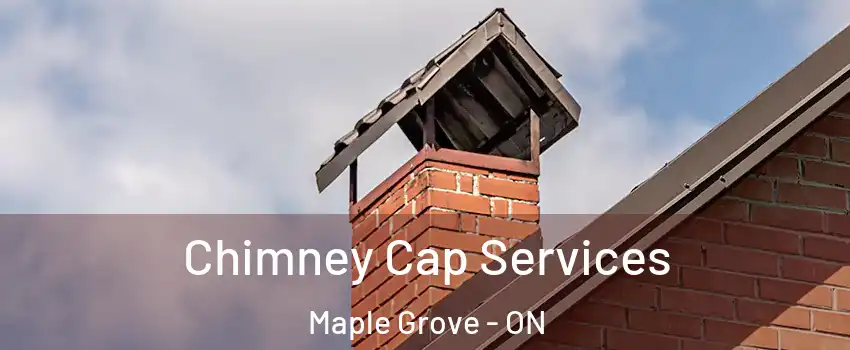  Chimney Cap Services Maple Grove - ON