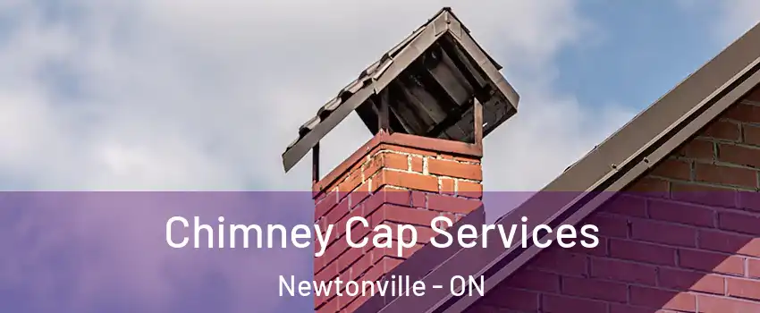  Chimney Cap Services Newtonville - ON