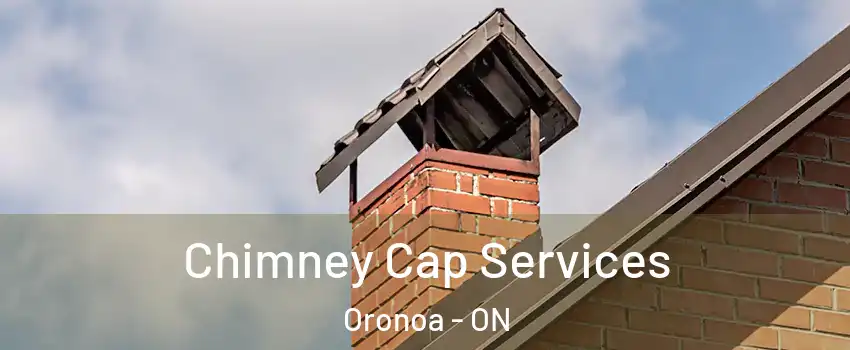  Chimney Cap Services Oronoa - ON