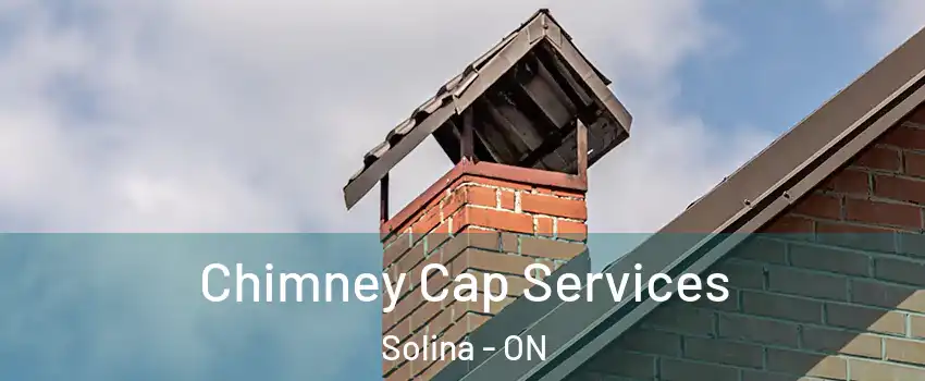  Chimney Cap Services Solina - ON