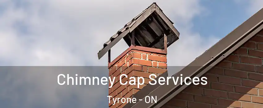 Chimney Cap Services Tyrone - ON