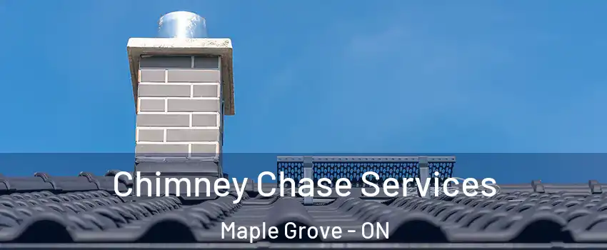  Chimney Chase Services Maple Grove - ON