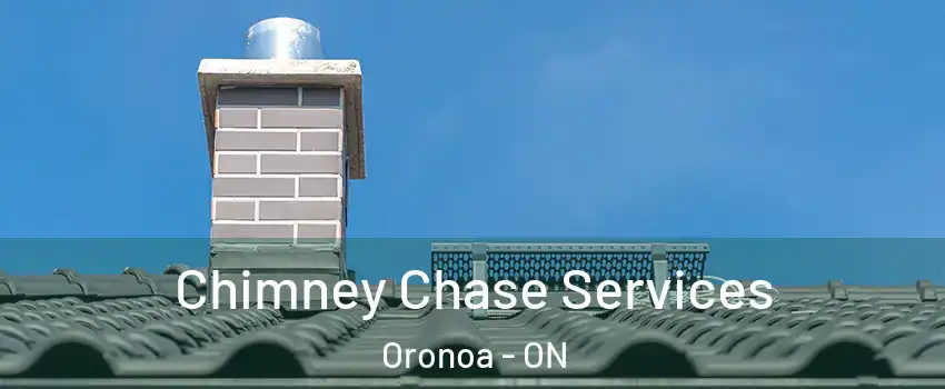  Chimney Chase Services Oronoa - ON