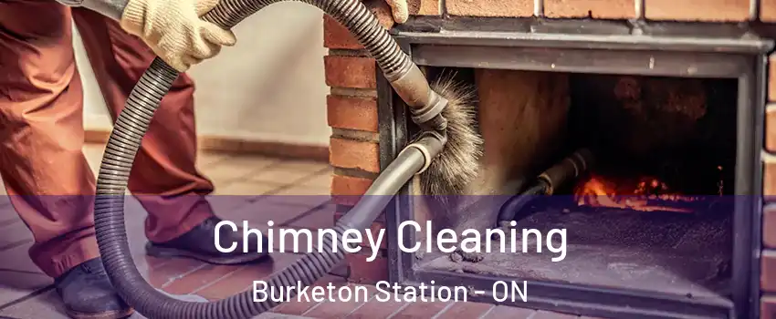  Chimney Cleaning Burketon Station - ON