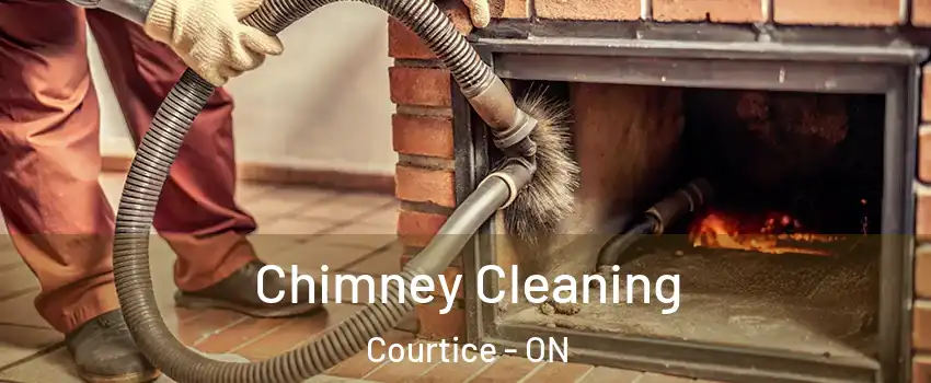  Chimney Cleaning Courtice - ON