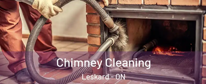  Chimney Cleaning Leskard - ON