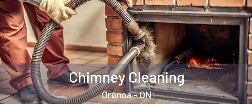  Chimney Cleaning Oronoa - ON