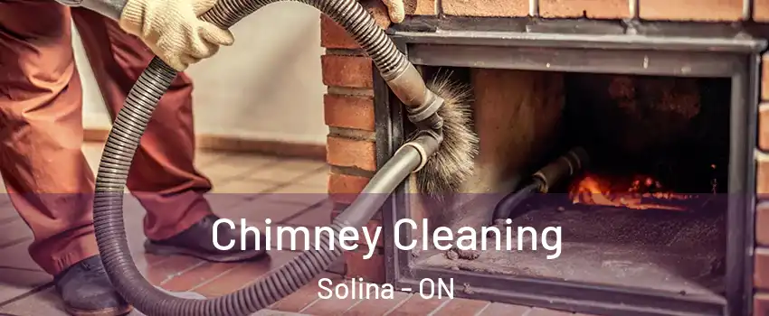  Chimney Cleaning Solina - ON