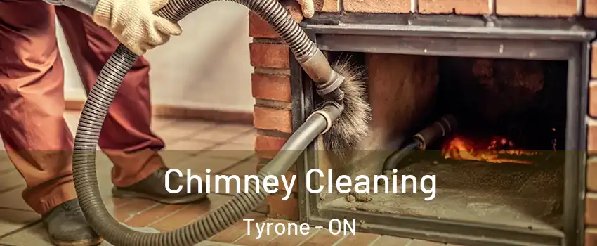  Chimney Cleaning Tyrone - ON