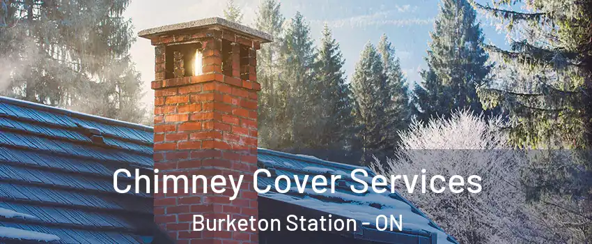  Chimney Cover Services Burketon Station - ON